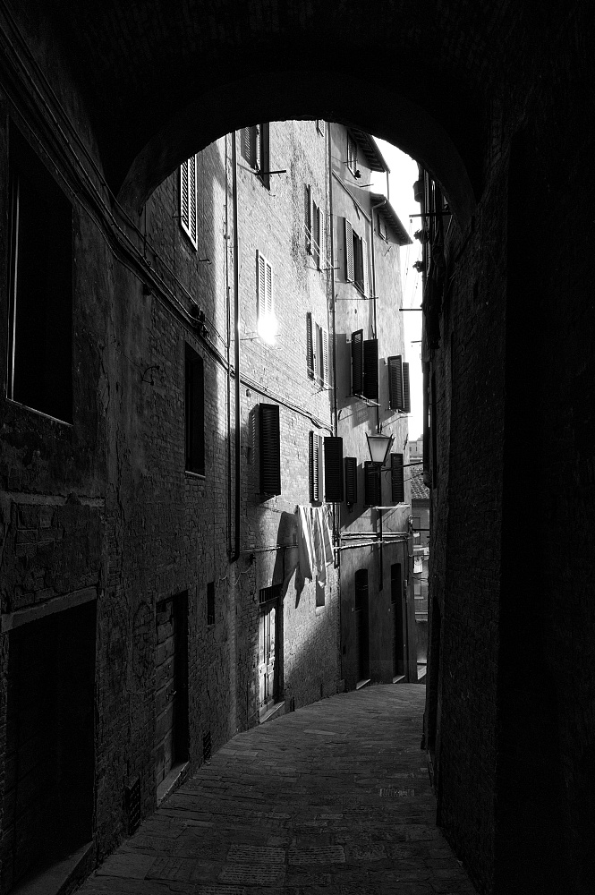Leica Q3 Monochrom